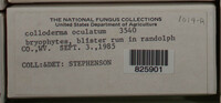 Image Associated With the Occurence